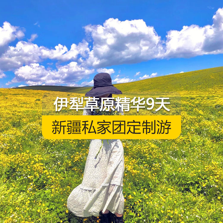 【新疆·北疆·私家團(tuán)定制游·9天8晚】北疆伊犁精華純玩9日游（景點(diǎn)包含：獨(dú)山子大峽谷+賽里木湖+解憂公主薰衣草農(nóng)場+喀贊其民俗區(qū)+伊昭公路+昭蘇濕地公園+夏塔古道+喀拉峻+特克斯八卦城+那拉提空中草原+巴音布魯克天鵝湖+獨(dú)庫公路+唐布拉百里畫廊+S101省道+國際大巴扎）產(chǎn)品編號(hào) : 11336