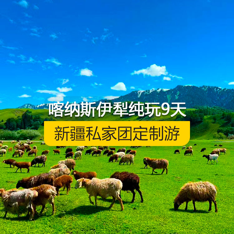 【新疆·北疆·私家團定制游·9天8晚】北疆喀納斯伊犁純玩9日游（景點包含：S21沙漠公路+五彩灘+喀納斯+禾木村+烏爾禾魔鬼城+賽里木湖+果子溝（途觀）+伊犁那拉提空中草原+巴音布魯克草原+獨庫公路+唐布拉+獨山子大峽谷+國際大巴扎）產(chǎn)品編號 : 11339